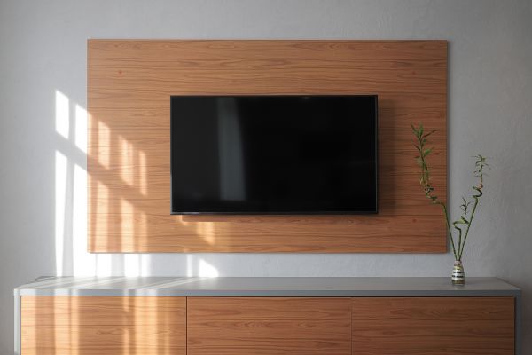TV Disposal