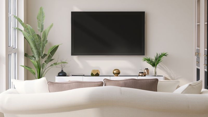 Mounted TV in Living Room